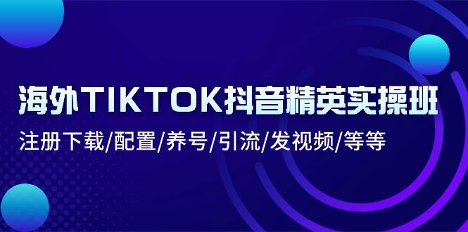 海外TIKTOK抖音精英实操班：注册下载/配置/养号/引流/发视频/等等-第1张图片-我要自学网