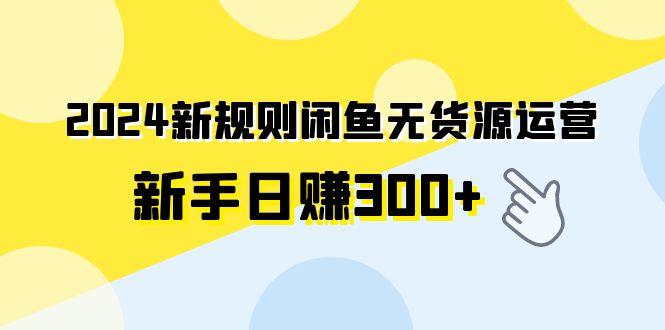 (9522期)2024新规则闲鱼无货源运营新手日赚300+-第1张图片-我要自学网