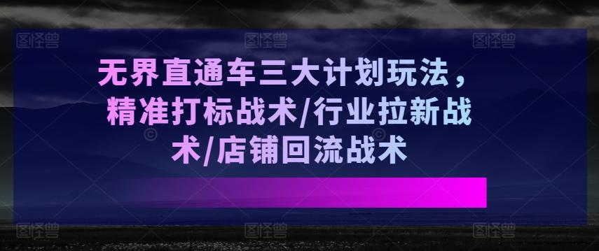 无界直通车三大计划玩法，精准打标战术/行业拉新战术/店铺回流战术-第1张图片-我要自学网