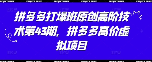 拼多多打爆班原创高阶技术第43期，拼多多高价虚拟项目-第1张图片-我要自学网