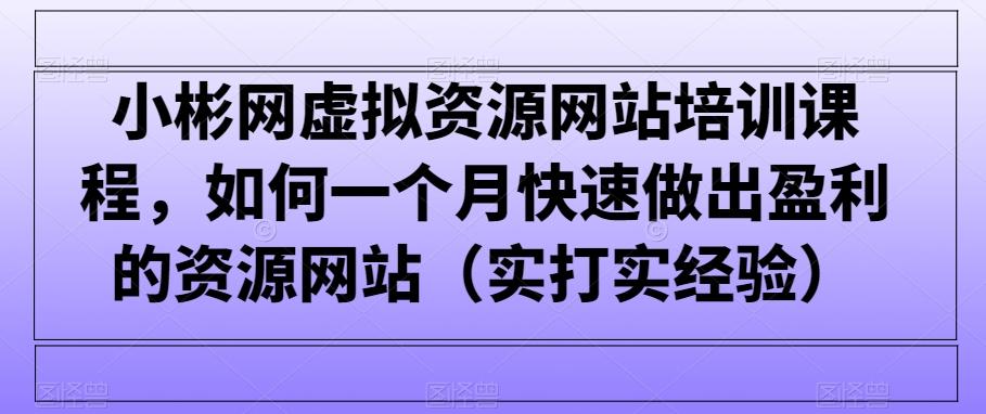 小彬网虚拟资源网站培训课程，如何一个月快速做出盈利的资源网站(实打实经验)-第1张图片-我要自学网