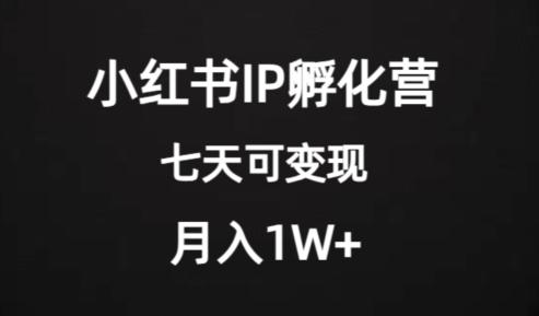 价值2000+的小红书IP孵化营项目,超级大蓝海,七天即可开始变现,稳定月入1W+-第1张图片-我要自学网 价值2000+的小红书IP孵化营项目,超级大蓝海,七天即可开始变现,稳定月入1W+-第1张图片-我要自学网