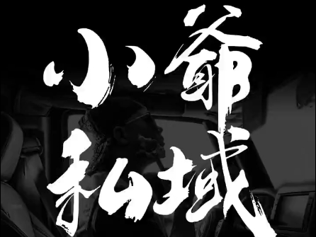 小爷·私域项目操盘手-第1张图片-我要自学网