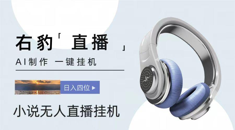 右豹小说无人直播挂机吸金项目，简单易行收益稳定， 月入1000+-第1张图片-我要自学网