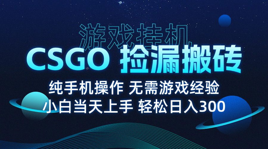 8月最新游戏搬砖，CSGO纯挂机，不需要玩游戏，实现真挂机，月入1W+-第2张图片-我要自学网