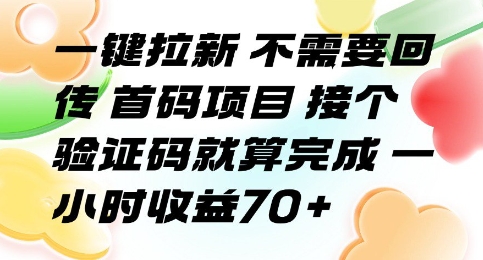 一键拉新 不需要回传 首码项目 接个验证码就算完成 一小时收益70+【揭秘】-第1张图片-我要自学网