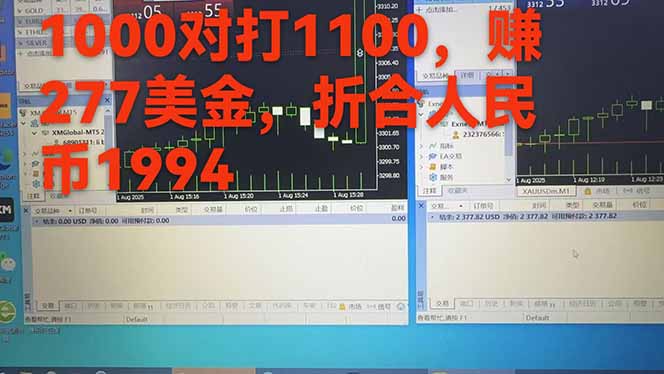 稳定8年的美刀搬砖项目，单人每日收益800—3000.团队4人月入10W+.可线下-第6张图片-我要自学网