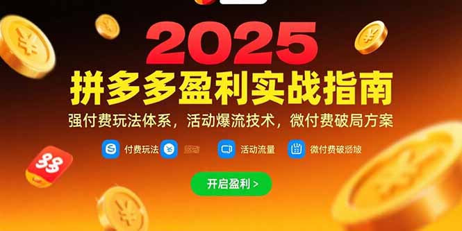 拼多多盈利实战指南，强付费玩法，活动爆流技术，微付费破局方案(更新7月-第1张图片-我要自学网