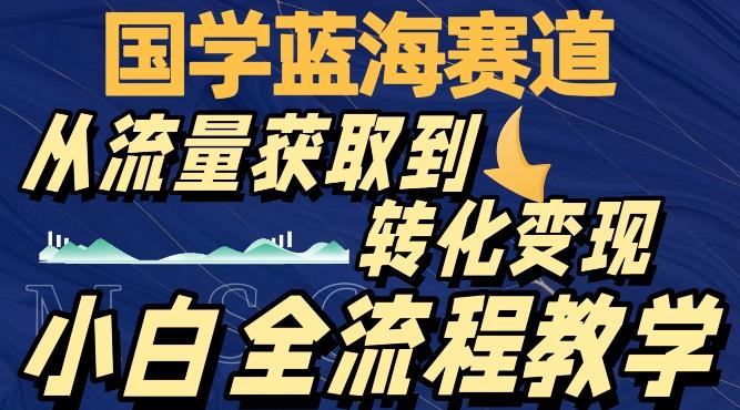 国学蓝海赛道，从流量获取，到转化变现，全流程教学-第1张图片-我要自学网