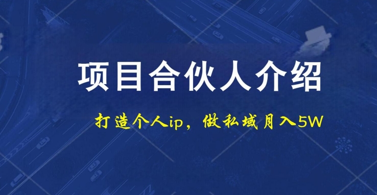 项目合伙人项目，打造个人IP，做私域月入5W，小白勿扰-第1张图片-我要自学网