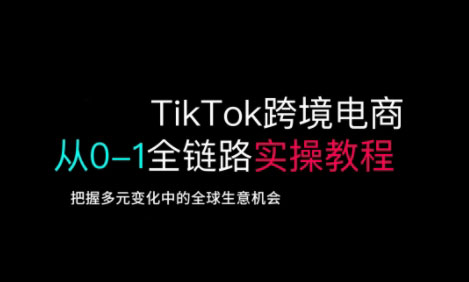 TikTok电商运营从基础到高阶全方位实操-第1张图片-我要自学网