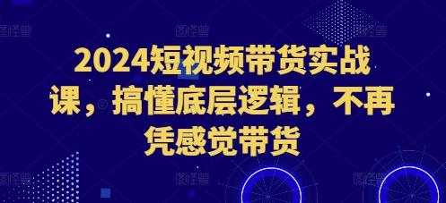 2024短视频带货实战课，搞懂底层逻辑，不再凭感觉带货-第1张图片-我要自学网
