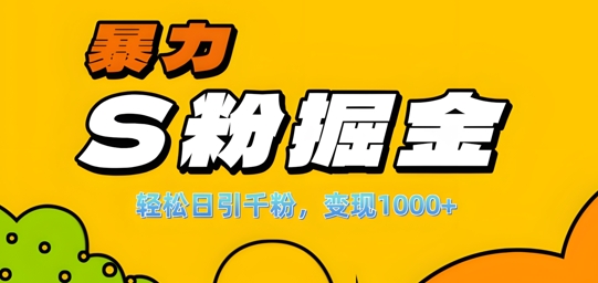 单人单机日引千粉，变现1k+，S粉流量掘金计划攻略【揭秘】-第1张图片-我要自学网