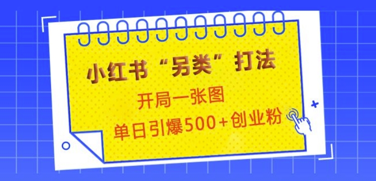 小红书“另类”打法，开局一张图，单日引爆500+精准创业粉【揭秘】-第1张图片-我要自学网