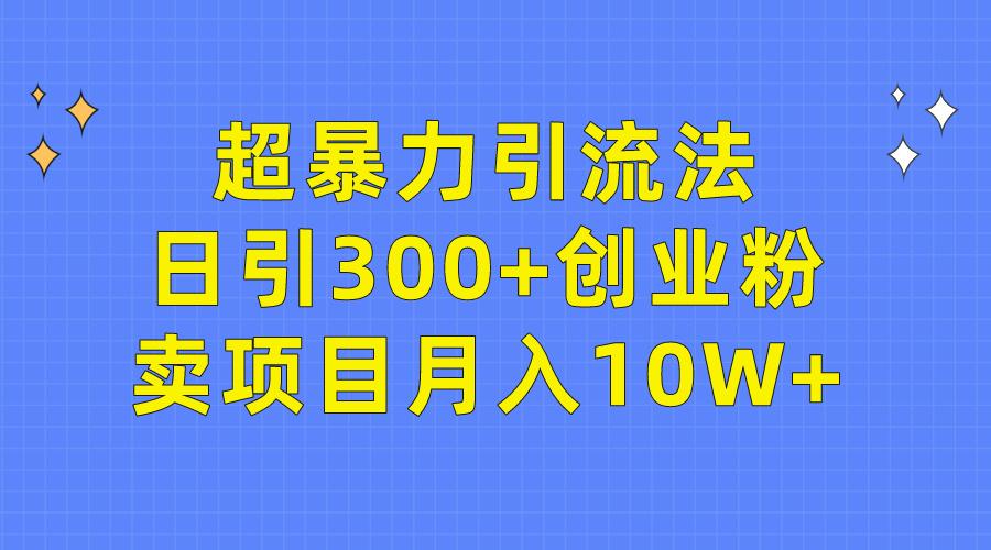 (9954期)超暴力引流法，日引300+创业粉，卖项目月入10W+-第1张图片-我要自学网