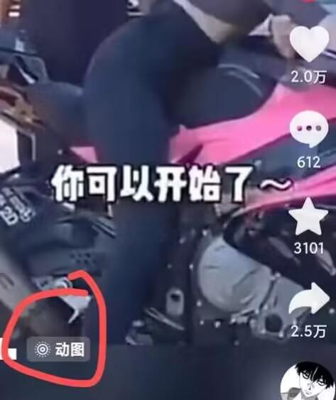 2024年7月苹果手机动图搬运技术-第2张图片-我要自学网