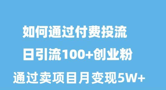 如何通过付费投流日引流100+创业粉月变现5W+-第1张图片-我要自学网 如何通过付费投流日引流100+创业粉月变现5W+-第1张图片-我要自学网