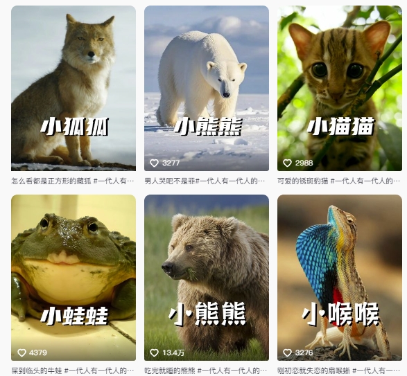 最新搞笑动物百科详细解说课程,蓝海赛道,流量非常大,轻松签独家进精选-第2张图片-我要自学网 最新搞笑动物百科详细解说课程,蓝海赛道,流量非常大,轻松签独家进精选-第2张图片-我要自学网