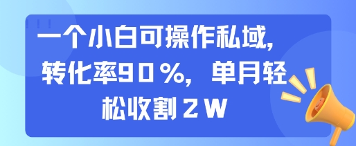 一个小白可操作私域，转化率90%，单月轻松收割2W-第1张图片-我要自学网
