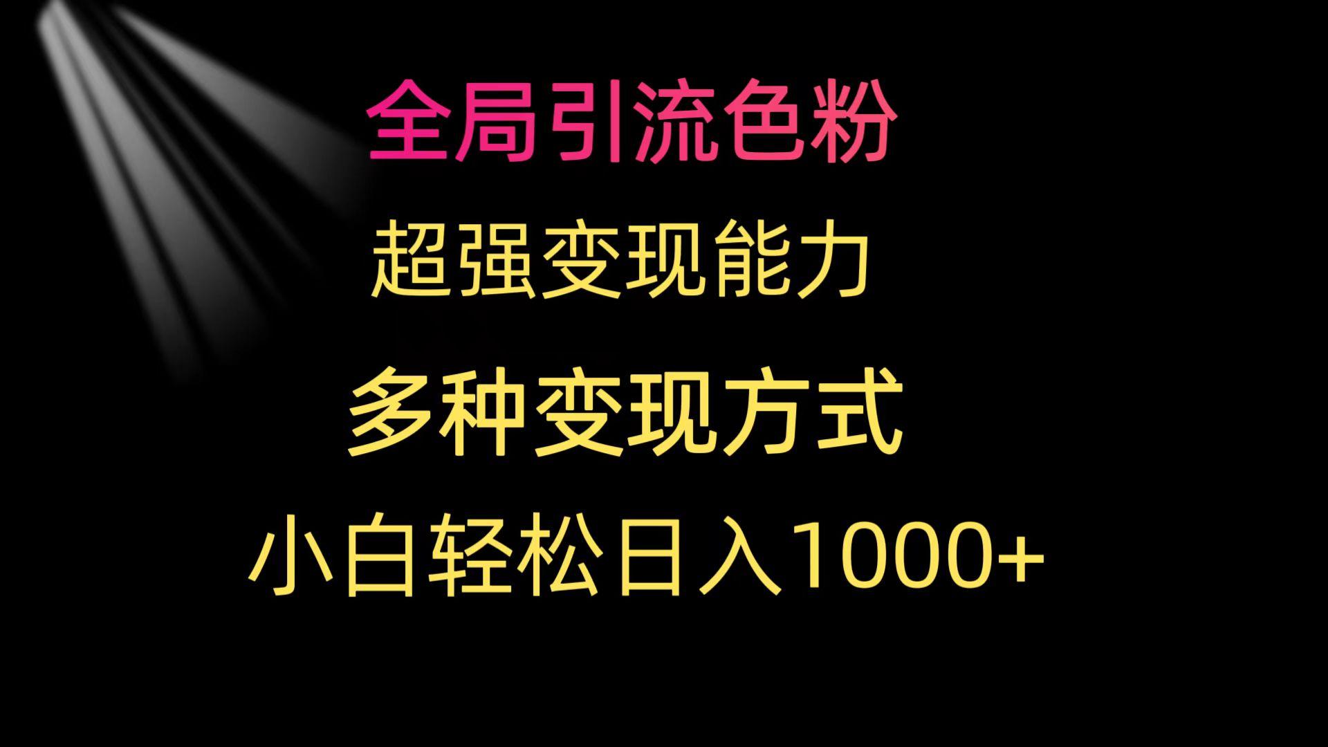 (9680期)全局引流色粉 超强变现能力 多种变现方式 小白轻松日入1000+-第1张图片-我要自学网