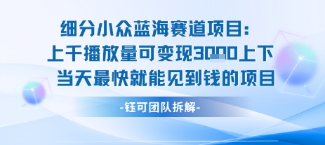 小众蓝海赛道项目：当天变现1k+适合新手操作 +适合长期玩-第1张图片-我要自学网