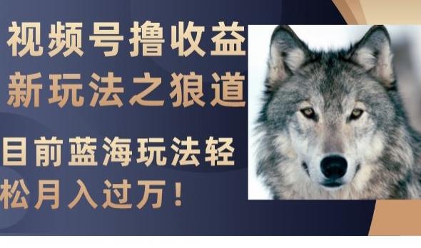 视频号撸收益新玩法之狼道,目前蓝海玩法,轻松月入过万【揭秘】-第1张图片-我要自学网 视频号撸收益新玩法之狼道,目前蓝海玩法,轻松月入过万【揭秘】-第1张图片-我要自学网