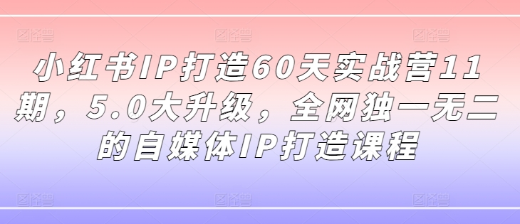 小红书IP打造60天实战营11期，5.0大升级，全网独一无二的自媒体IP打造课程-第1张图片-我要自学网