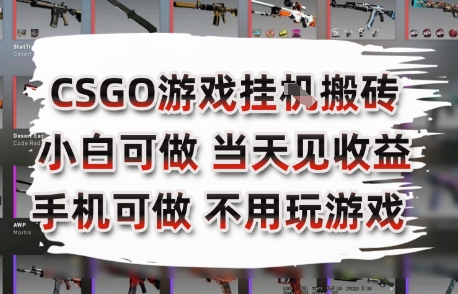 CSGO游戏挂G搬砖，小白纯手机即可操作，不用电脑打游戏，日入3张+，副业网创项目【揭秘】-第1张图片-我要自学网