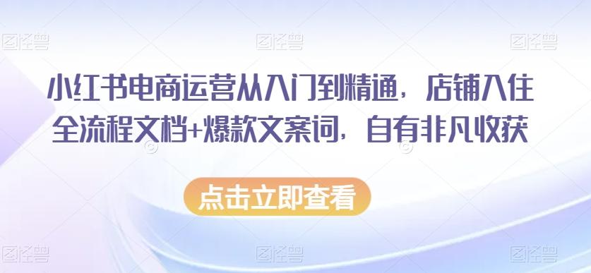 小红书电商运营从入门到精通,店铺入住全流程文档+爆款文案词,自有非凡收获-第1张图片-我要自学网 小红书电商运营从入门到精通,店铺入住全流程文档+爆款文案词,自有非凡收获-第1张图片-我要自学网