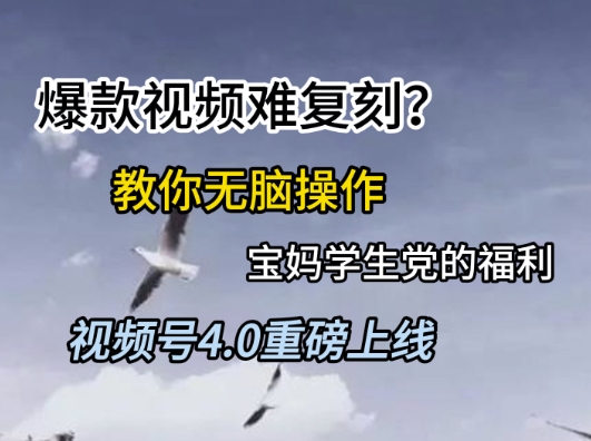 视频号4.0重磅上线,爆款视频难复刻?教你无脑操作宝妈学生党的福利【揭秘】-第1张图片-我要自学网 视频号4.0重磅上线,爆款视频难复刻?教你无脑操作宝妈学生党的福利【揭秘】-第1张图片-我要自学网