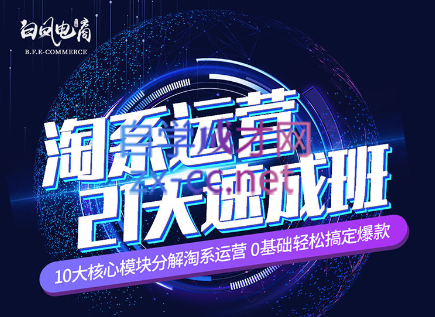 淘系运营21天速成班(更新7月)-第1张图片-我要自学网