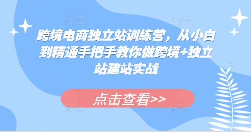 跨境电商独立站训练营，从小白到精通手把手教你做跨境+独立站建站实战-第1张图片-我要自学网