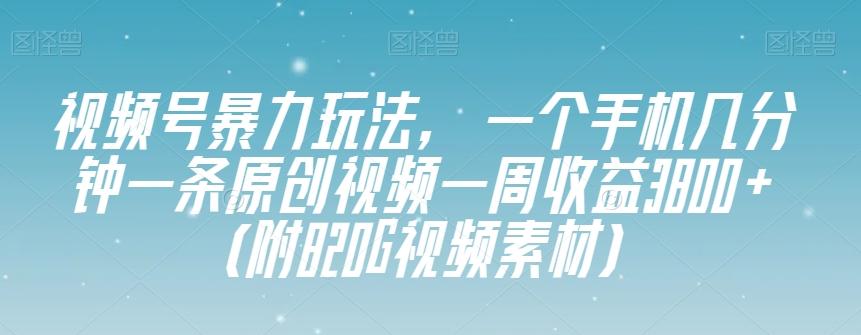 视频号暴力玩法,一个手机几分钟一条原创视频一周收益3800+(附820G视频素材)-第1张图片-我要自学网 视频号暴力玩法,一个手机几分钟一条原创视频一周收益3800+(附820G视频素材)-第1张图片-我要自学网