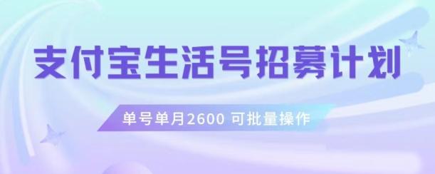 支付宝生活号作者招募计划,单号单月2600,可批量去做,工作室一人一个月轻松1w+【揭秘】-第1张图片-我要自学网 支付宝生活号作者招募计划,单号单月2600,可批量去做,工作室一人一个月轻松1w+【揭秘】-第1张图片-我要自学网