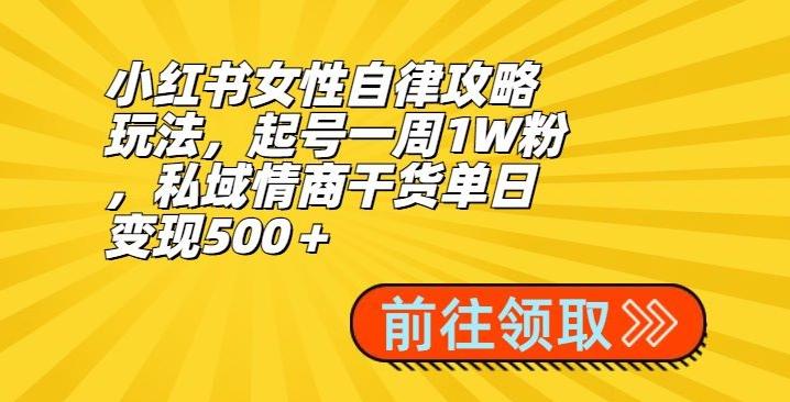 小红书女性自律攻略玩法，起号一周1W粉，私域情商干货单日变现500＋-第1张图片-我要自学网