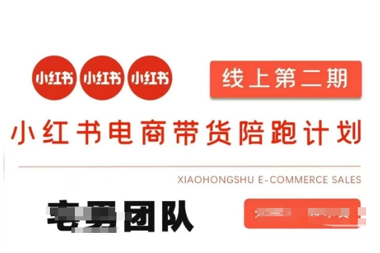 小红书电商带货课2期，月利润20个的小红书电商的有货源，无货源，虚拟产品，付费投流等整套玩法-第1张图片-我要自学网