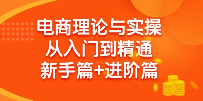 (9576期)电商理论与实操从入门到精通 新手篇+进阶篇-第1张图片-我要自学网