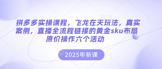 拼多多实操课程，飞龙在天玩法，真实案例，直播全流程链接的黄金sku布局原价操作六个活动-第1张图片-我要自学网