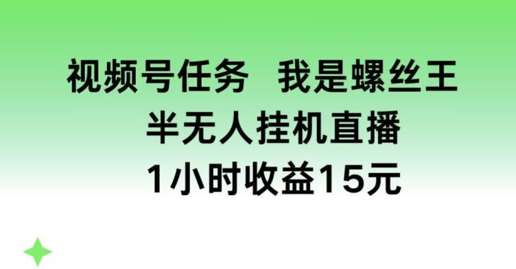 视频号任务，我是螺丝王， 半无人挂机1小时收益15元【揭秘】-第1张图片-我要自学网