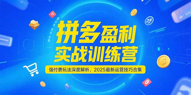 拼多多盈利实战训练营，强付费玩法深度解析，2025运营技巧合集-更新6月-第1张图片-我要自学网