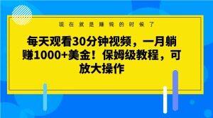 每天观看30分钟视频，一月躺赚1000+美金！保姆级教程，可放大操作【揭秘】-第1张图片-我要自学网