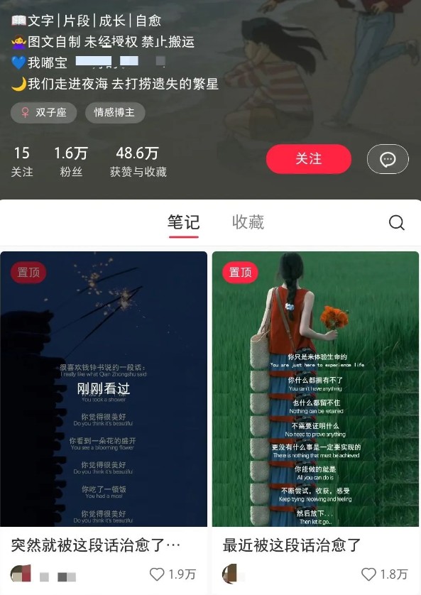 小红书治愈文案图文笔记，零门槛，一分钟制作轻松制作爆款作品月入万元-第2张图片-我要自学网