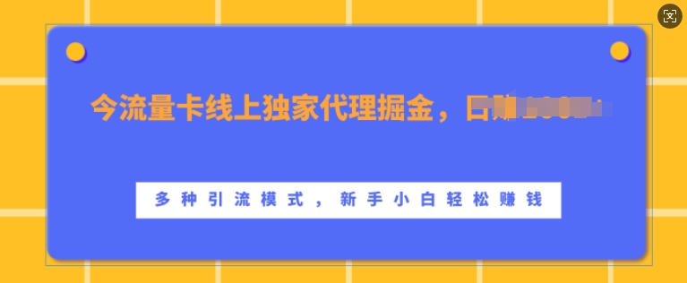 流量卡线上独家代理掘金，日入1k+ ，多种引流模式，新手小白轻松上手【揭秘】-第1张图片-我要自学网