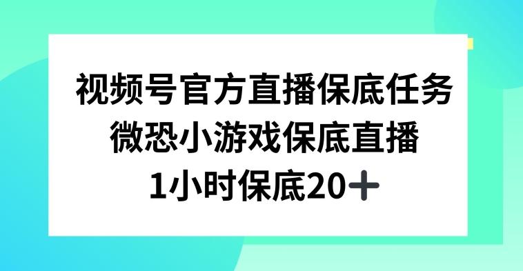 视频号直播任务，微恐小游戏，1小时20+【揭秘】-第1张图片-我要自学网