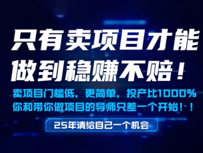 只有卖项目才能做到稳挣不赔,门槛低,更简单,你也可以年入百个W【揭秘】-第1张图片-我要自学网 只有卖项目才能做到稳挣不赔,门槛低,更简单,你也可以年入百个W【揭秘】-第1张图片-我要自学网