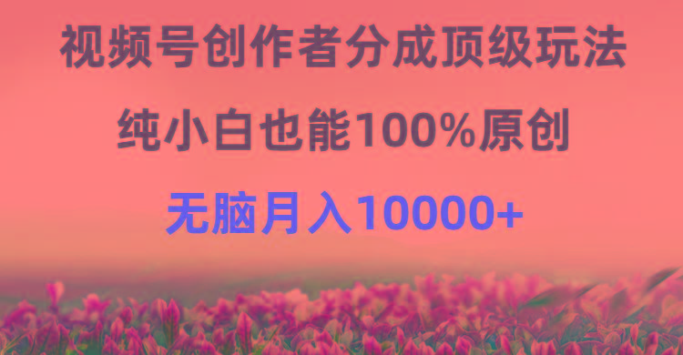 (9608期)视频号创作者分成顶级玩法，纯小白也能100%原创，无脑月入10000+-第1张图片-我要自学网