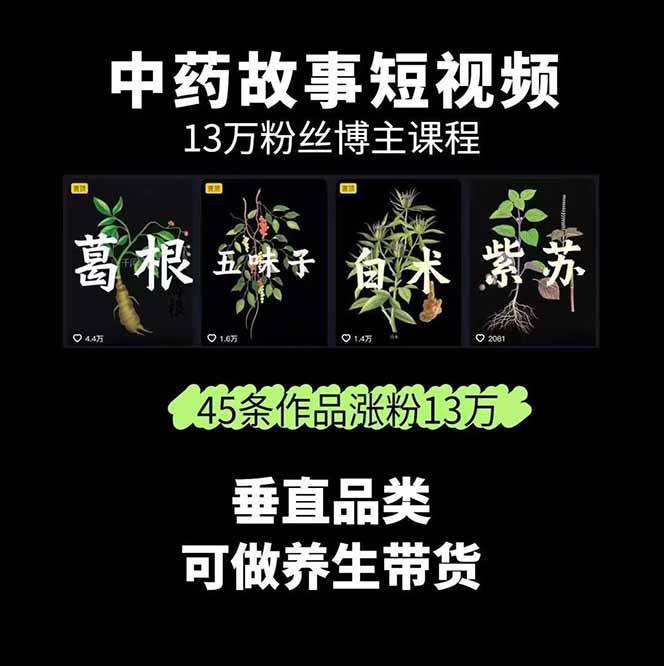 中药文化赛道：溯源故事开发，AI工具实战，平台运营，全方位解锁中医流量变现新路径-第2张图片-我要自学网