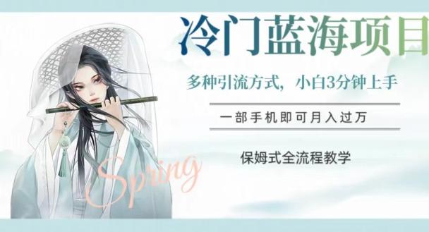 冷门蓝海项目，操作简单，小白3分钟上手，多种引流方式，保姆式全流程教学【揭秘】-第1张图片-我要自学网