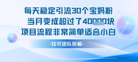 每天稳定引流30个人 当月变成超过了4个W项目流程非常简单适合小白-第1张图片-我要自学网