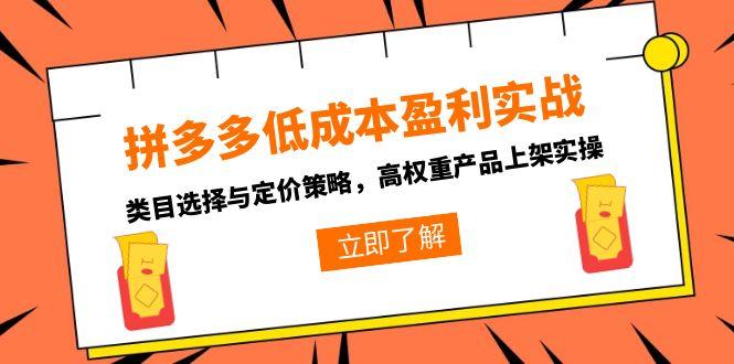 拼多多低成本盈利实战，类目选择与定价策略，高权重产品上架实操-第1张图片-我要自学网